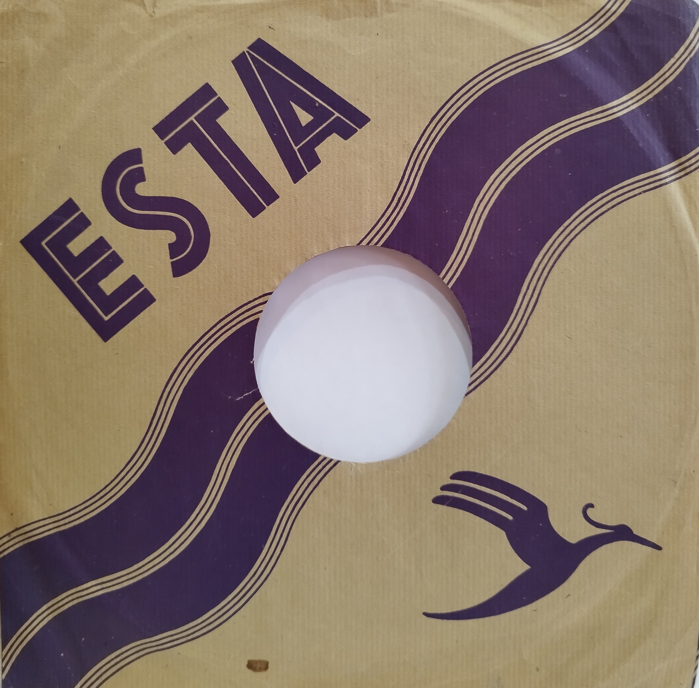 Esta - obal vo fialovej variante